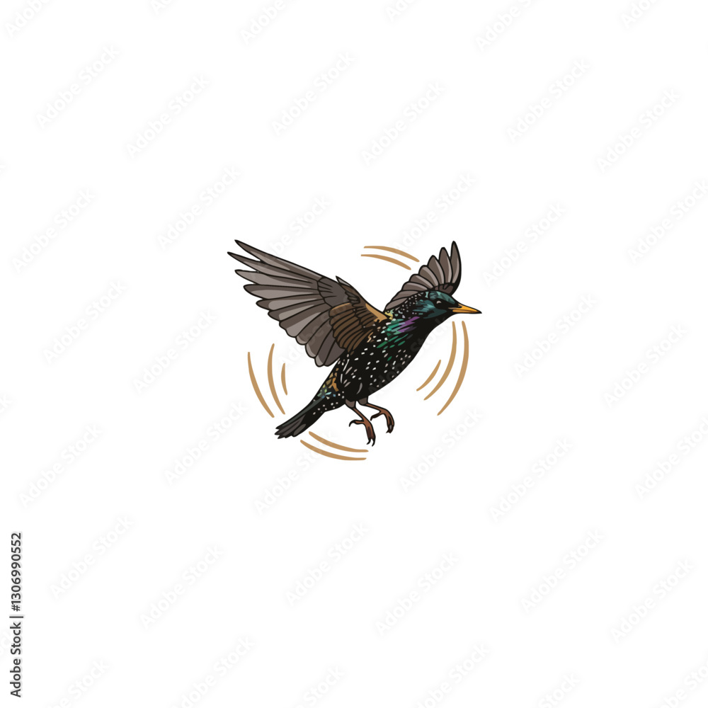 Fototapeta premium Flying Starling Illustration