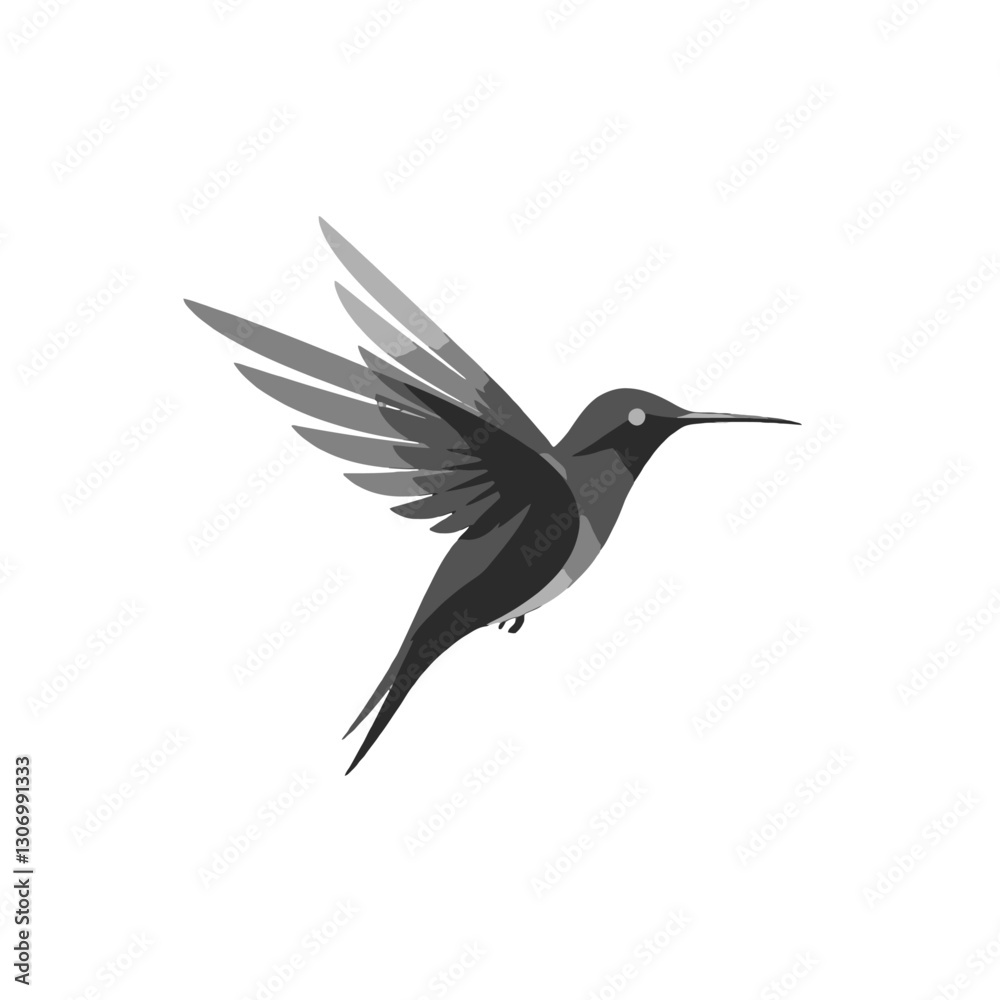 Fototapeta premium Monochrome Hummingbird in Flight