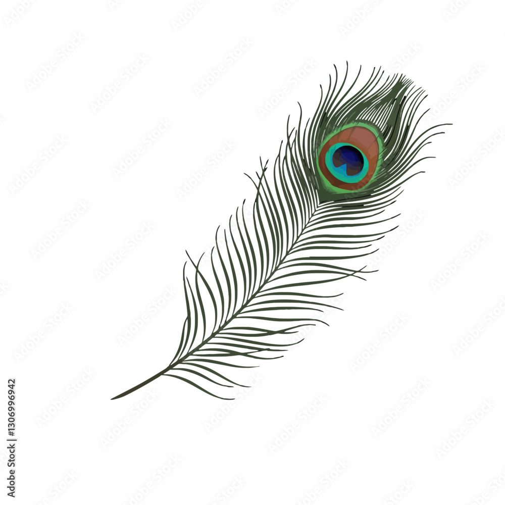 Obraz premium Peacock Feather