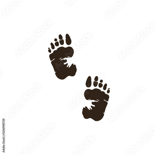 Bear Claw Footprints
