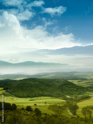 bright landscape with green meadows and misty mountains