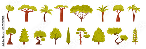 Forest and garden tree set. Spring and summer collection of green trees with tropical Banana and Coconut, Date Palm and evergreen Common Spruce, Baobab and English Oak cartoon vector illustration