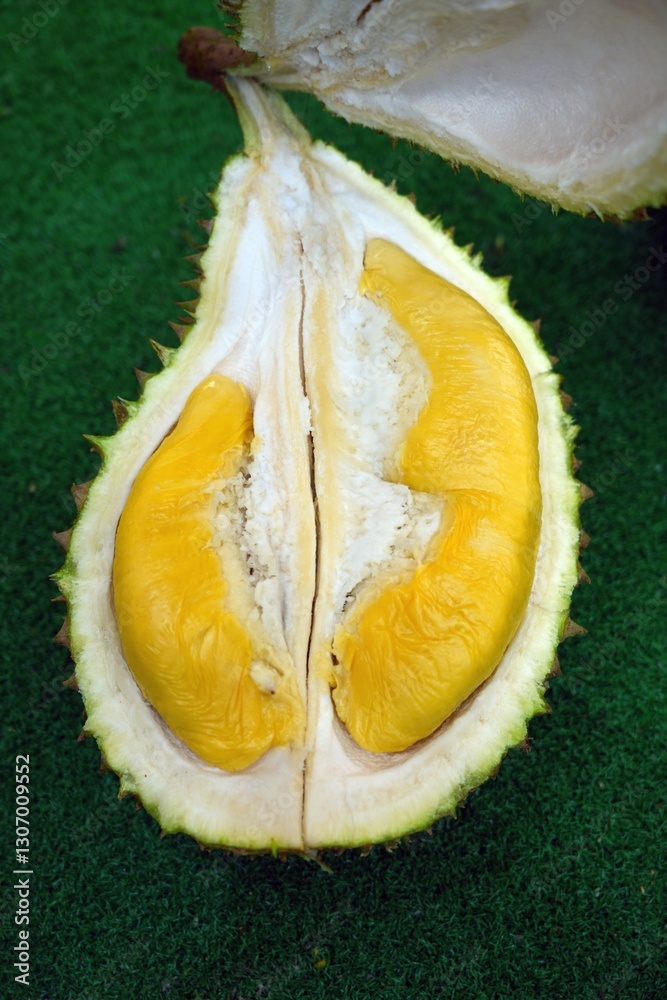 Fresh yllow durian fruit cut open in Singapore