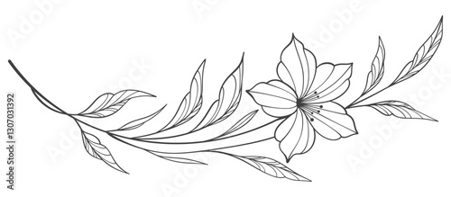 Line art floral botanical on transparent background vector. floral, flowers, leaves, foliage, branches in hand drawn. Floral element design