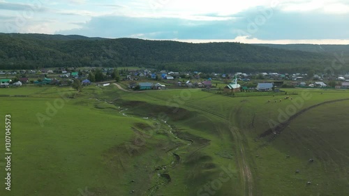 landscape with green grass