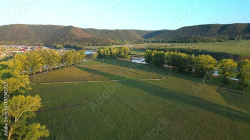 landscape with green grass