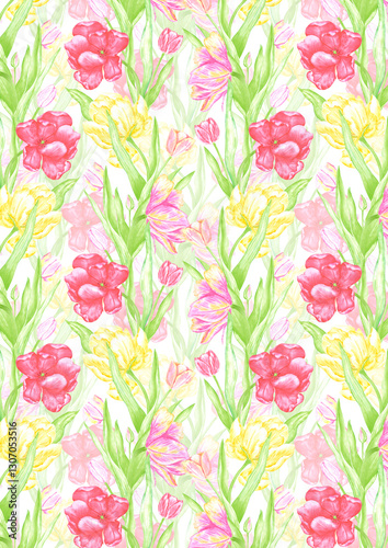 Hand drawn watercolor scarlet and yellow tulips with green leaves poster. Illustration isolated on white background. Can be used for postcard, invitation, book cover and other printed products.