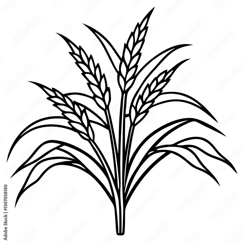 Fototapeta premium Black and white illustration of rice plants on a transparent background