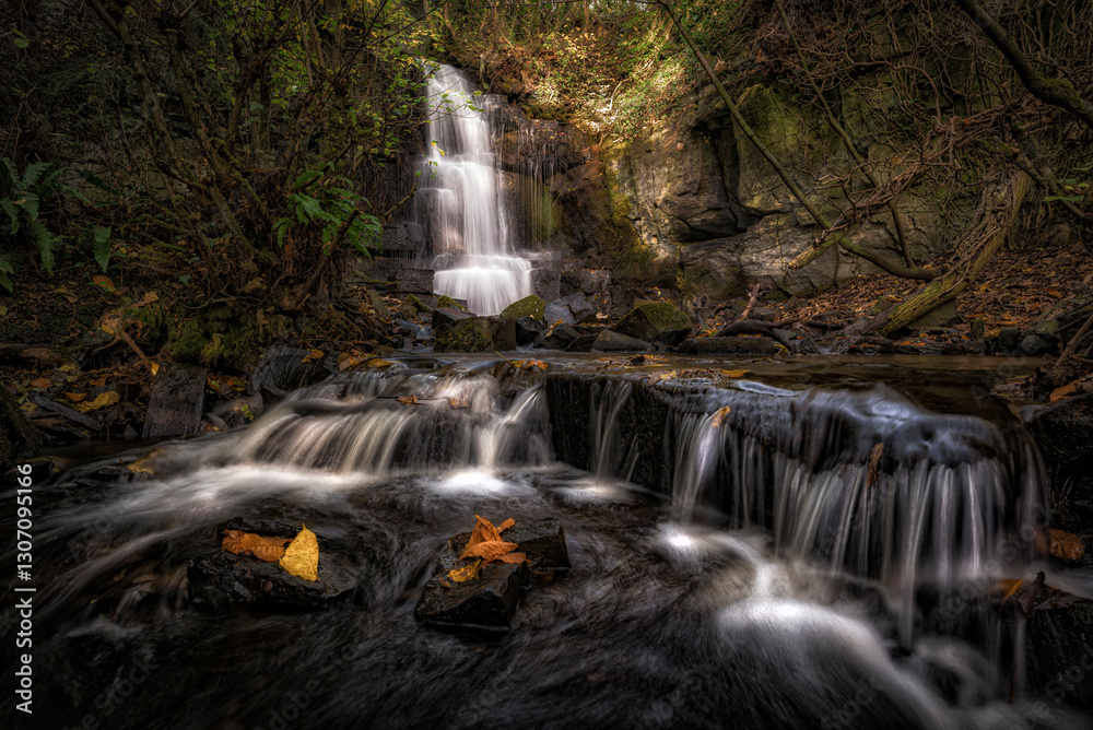 Fototapeta premium waterfall in the forest