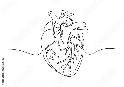 Continuous One Line Human Heart | Minimalist Anatomy Vector Illustration