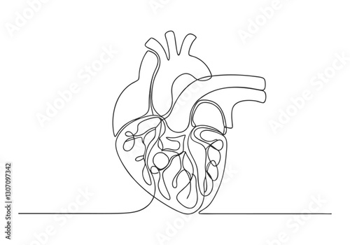 Continuous One Line Human Heart | Minimalist Anatomy Vector Illustration