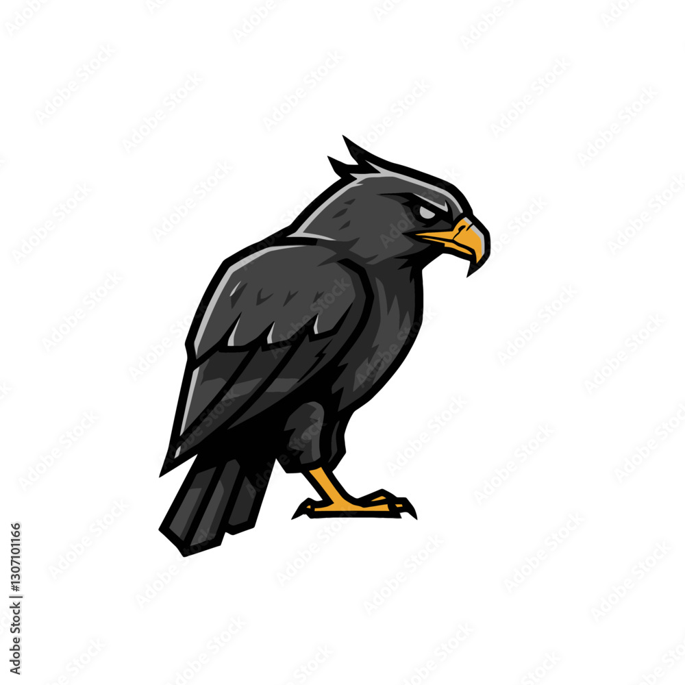 Obraz premium Black Hawk Logo