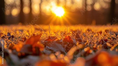 Golden grass sways under a sun-kissed sky, while autumn hues of orange and yellow dance amid whispering trees casting a radiant glow over the serene landscape photo