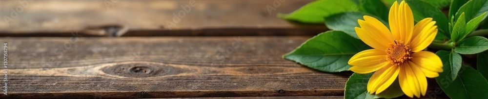 Green and brown flower on a wooden surface with natural texture, rustic, earthy Green and brown flower on a wooden surface with natural texture, rustic, earthy