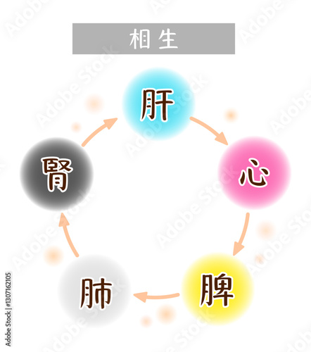 五臓のイメージと相生の関係性を表すイラスト