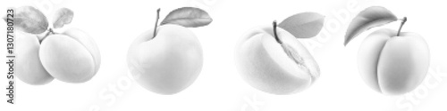 Stylized Apricot Vector Illustration with Leaves and Smooth Textures
