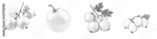 Gooseberry Vector Illustration: Artistic Depiction of Fresh Gooseberries