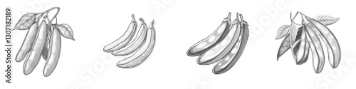 Illustration of Bananas with Leaves in Vector Style - Stylish Fruit Design