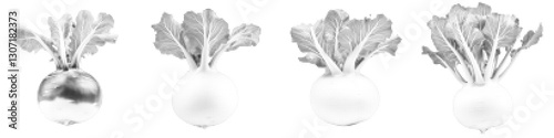 Vector illustration of vibrant kohlrabi with rich foliage and unique bulb shape