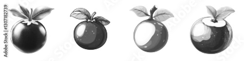Vector illustration of unique mangosteen fruits with leaves in black and white