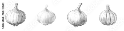 Stylized Illustration of Shallots in Vector Art with Striped Details