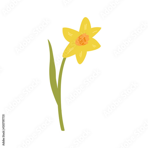 Daffodil flower with leaf on isolated background. Botanical vector flat illustration with narcissus. Spring and summer clipart for holidays, women's day, birthday, mother's day designs, etc