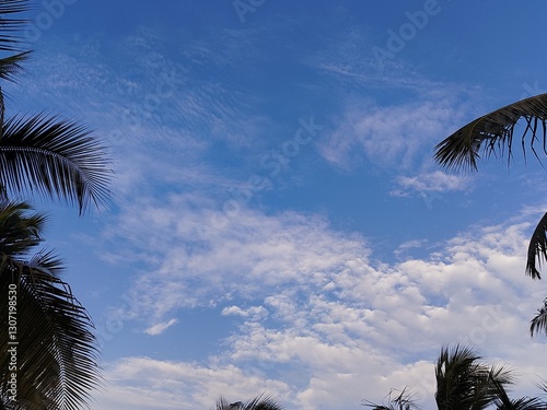 palm trees against blue sky