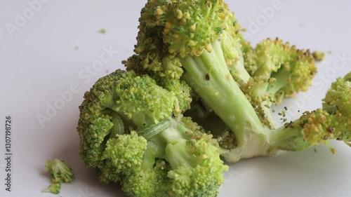 Caterpillars (Pieris rapae) planted on broccoli plants that have started to rot.