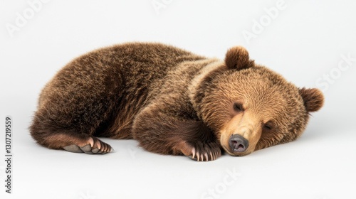 Adorable Brown Bear Cub Lying Down on a Light Gray Background with Soft Fur and Peaceful Expression