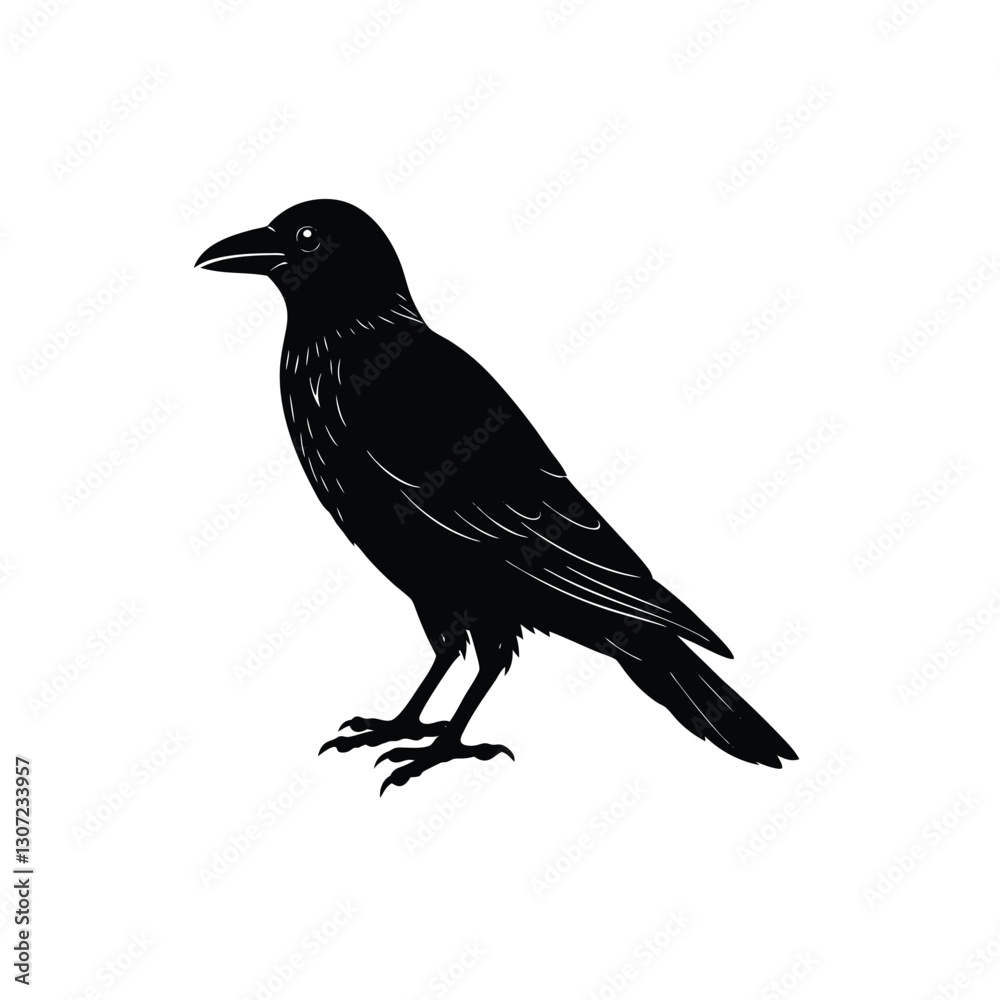 Obraz premium crow on a white silhouette on white background