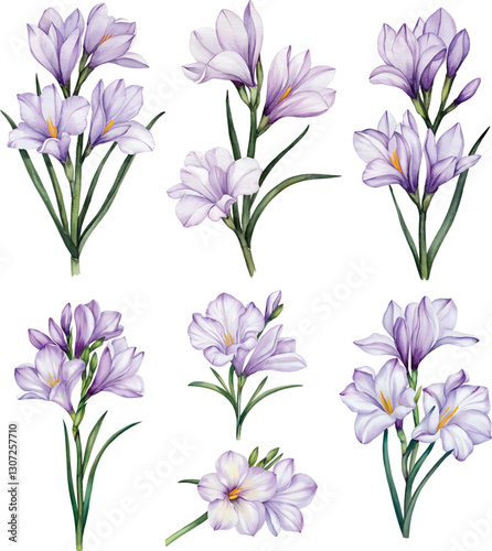 Blue watercolor Flax Flower, isolated on white background
