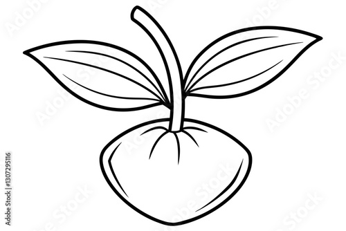 Minimal Botanical Line Art of a Sprouting Seed for Eco and Nature Design

