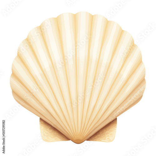 Light Yellow Scallop Seashell on White Background