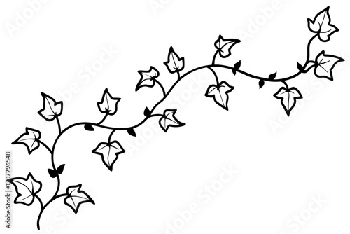Minimalist Botanical Ivy Vines Line Art Illustration

