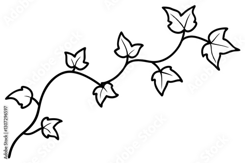 Minimalist Botanical Ivy Vines Line Art Illustration

