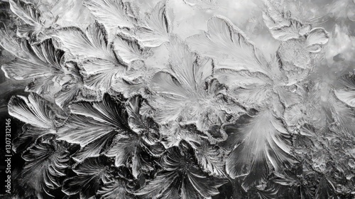 Frosty floral abstract design on windowpane in monochrome brilliance