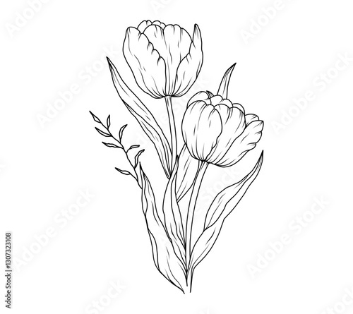 Tulip line art sketch flower. Hand drawn tulips bouquet black drawing. Abstract floral leaves. Vector illustration in outline style
