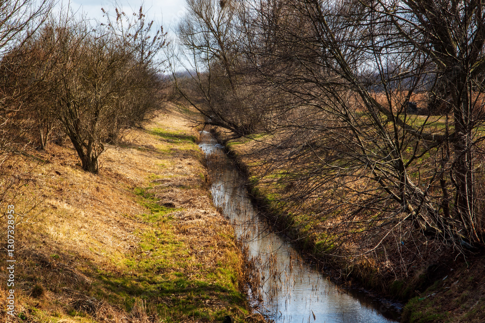 Przedwiośnie nad Stawami Dojlidzkimi,Podlasie, Polska
