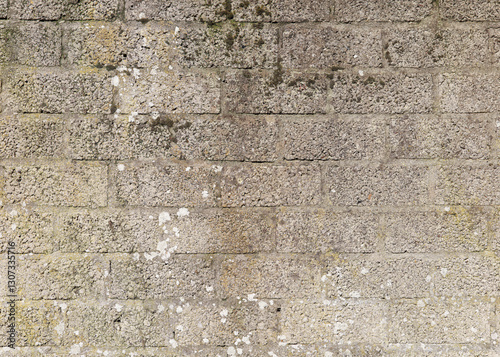 Aged Gray Brick Wall With Moss