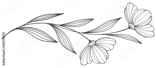 Line art floral botanical on transparent background vector. floral, flowers, leaves, foliage, branches in hand drawn. Floral element design