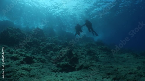 Wallpaper Mural scuba divers are exploring the reefs and topography  underwater Torontodigital.ca