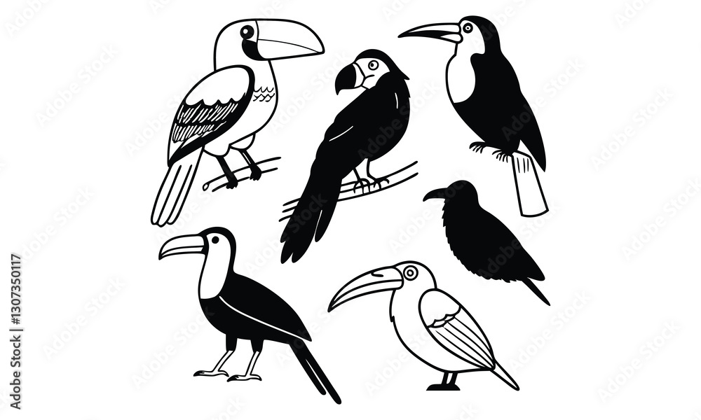 Obraz premium A collection of birds and a bird on a white background
