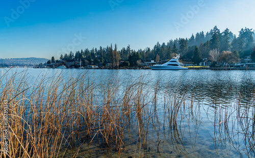 Mercer Island Shoreline photo