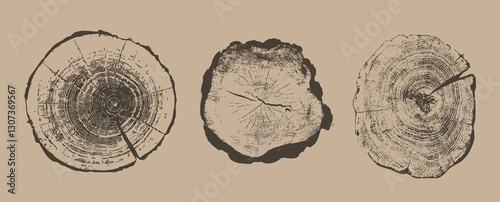 Collection of cross sections of tree growth rings. Set of tree stumps isolated. Natural cut wood. Ring pattern, wood texture. Slice of tree with growth rings, tree slabs trunk. Vector design elements