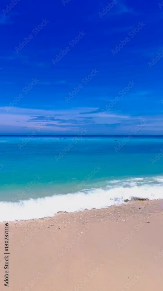 Tropical Beach Paradise with Clear Blue Sky and Turquoise Ocean Waves Tropical Beach Paradise with Clear Blue Sky and Turquoise Ocean Waves