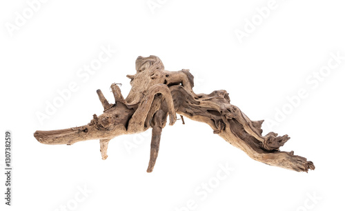 Wooden snag, Driftwood or aged wood isolated on white background