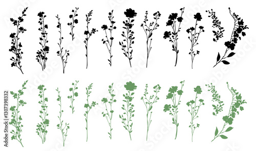 Vector silhouette of field flowers, silhouette of the grass set, meadow tiny flowers and grass, wildflowers summer herbs, simple small flowers on a stem, bouquets, architectural element, side view,