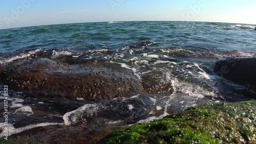 Wallpaper Mural Waves near the shore of the Black Sea, algae and mussels on rocks near the water, a rock with mussels and washed by waves with white foam Torontodigital.ca