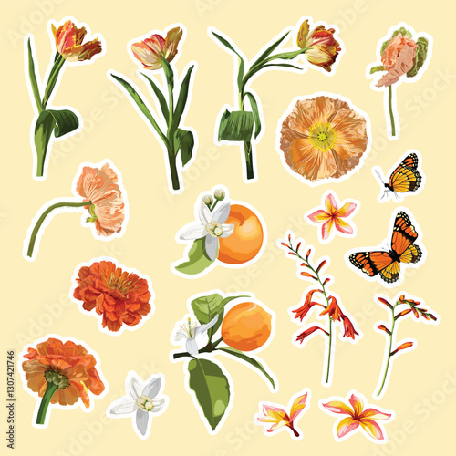 Set of orange garden flowers, butterfly, citrus fruits elements. Set of stickers, pins, patches and handwritten notes collection stikers kit.