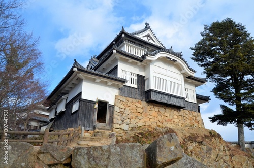 青空に映える備中松山城 天守閣 photo